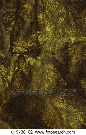 Stock Image - feel, tactile, wrinkle, designed, product. Fotosearch