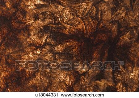 Stock Image - feel, tactile, wrinkle, designed, product. Fotosearch