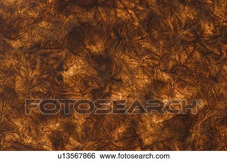 Stock Photograph - feel, tactile, wrinkle, designed, product. Fotosearch