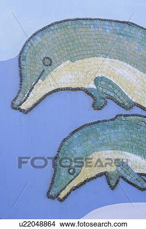 Close-Up, Dolphin, Fish, Full Frame, Mosaic View Large Photo Image Picture - Close-Up, Dolphin, Fish, Full Frame, Mosaic. Fotosearch