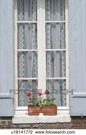 Blooms, Blossoms, Building, Curtains, Day, Developed View Large Photo Image Stock Image - Blooms, Blossoms, Building, Curtains, Day, Developed. Fotosearch