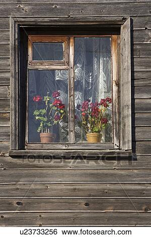 Stock Photograph - Day, Outdoors. Fotosearch