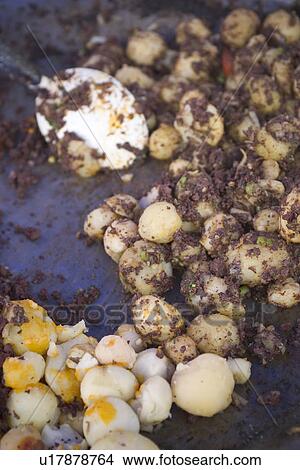 Picture - commodity. Fotosearch