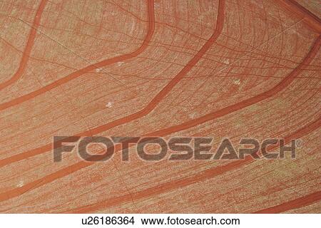 agricultural land, agriculture, aerial view View Large Photo Image Picture - agricultural land, agriculture, aerial view. Fotosearch