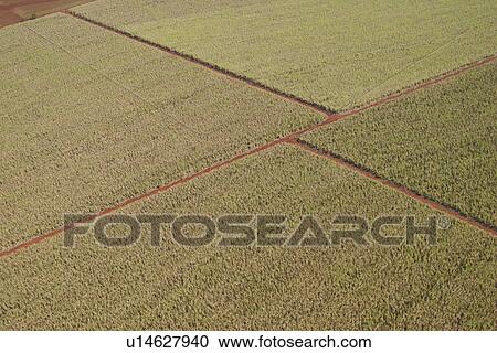 Stock Image - agricultural land, agriculture, aerial view. Fotosearch
