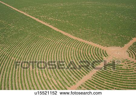 agricultural land, agriculture, aerial view View Large Photo Image Stock Image - agricultural land, agriculture, aerial view. Fotosearch