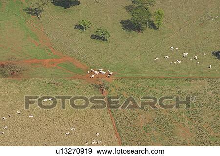 agricultural land, agriculture, aerial view View Large Photo Image Stock Photo - agricultural land, agriculture, aerial view. Fotosearch