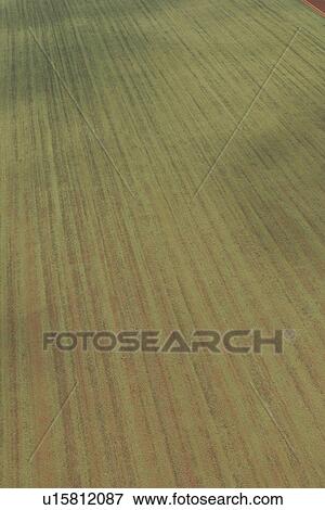 Stock Photo - agricultural land, agriculture, aerial view. Fotosearch