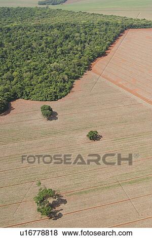 Stock Photo - agricultural land, agriculture, aerial view. Fotosearch