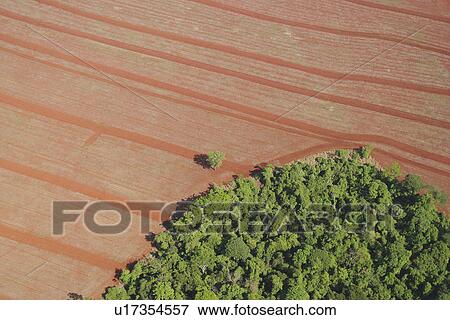 agricultural land, agriculture, aerial view View Large Photo Image Stock Photo - agricultural land, agriculture, aerial view. Fotosearch