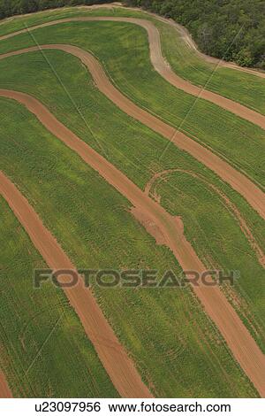 agricultural land, agriculture, aerial view View Large Photo Image Stock Photograph - agricultural land, agriculture, aerial view. Fotosearch