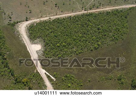 agriculture, angle, aerial view View Large Photo Image Stock Image - agriculture, angle, aerial view. Fotosearch
