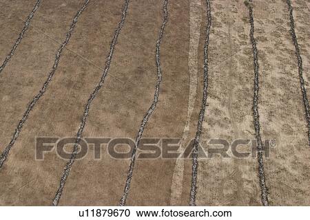 agriculture, array, aerial view View Large Photo Image Stock Image - agriculture, array, aerial view. Fotosearch
