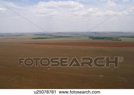agriculture, array, aerial view View Large Photo Image Stock Image - agriculture, array, aerial view. Fotosearch