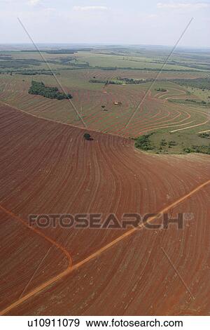 agriculture, array, aerial view View Large Photo Image Stock Photo - agriculture, array, aerial view. Fotosearch