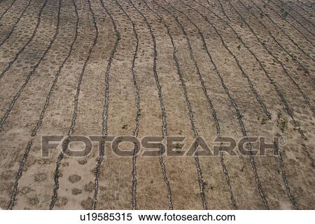 Stock Photography - agriculture, array, aerial view. Fotosearch