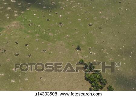 agriculture, blotchy, aerial view View Large Photo Image Stock Photo - agriculture, blotchy, aerial view. Fotosearch