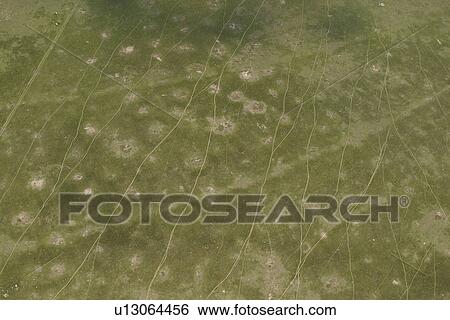 Stock Photograph - agriculture, blotchy, aerial view. Fotosearch