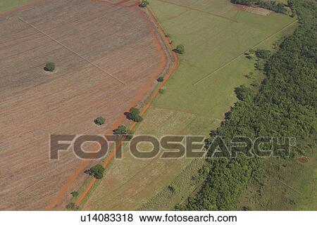 Stock Photo - agriculture, boundary, aerial view. Fotosearch