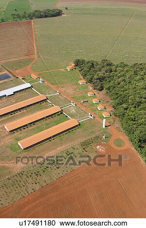 agriculture, buildings, aerial view View Large Photo Image Stock Image - agriculture, buildings, aerial view. Fotosearch