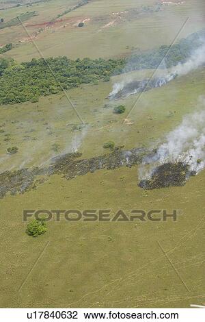 Stock Image - agriculture, burn, aerial view. Fotosearch