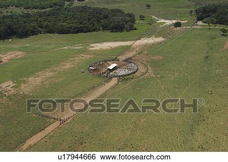 Stock Photograph - agriculture, cluster, aerial view. Fotosearch