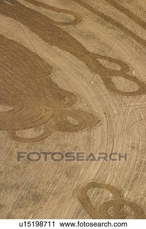 agriculture, concentric, aerial view View Large Photo Image Stock Image - agriculture, concentric, aerial view. Fotosearch