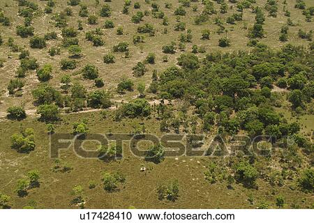 Stock Image - agriculture, countryside, aerial view. Fotosearch