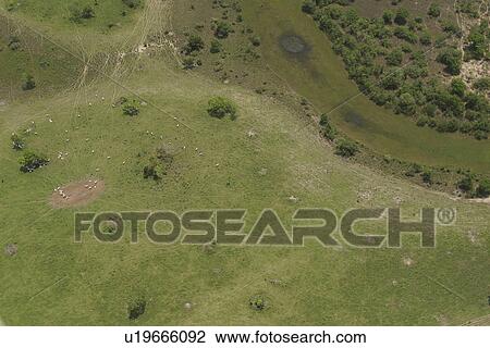 agriculture, countryside, aerial view View Large Photo Image Stock Image - agriculture, countryside, aerial view. Fotosearch