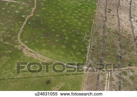 agriculture, countryside, aerial view View Large Photo Image Stock Photography - agriculture, countryside, aerial view. Fotosearch