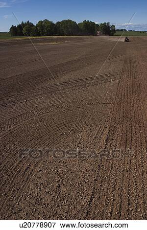 Blue Sky, Farm, Field, Furrows, Grooves, Ground View Large Photo Image Stock Photo - Blue Sky, Farm, Field, Furrows, Grooves, Ground. Fotosearch