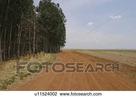 brown, calm, array View Large Photo Image Stock Image - brown, calm, array. Fotosearch