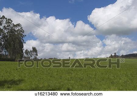 Stock Image - calm, clouds, cloudy. Fotosearch