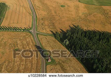 Picture - farm, farm land, cultivated, land, field, farm field. Fotosearch