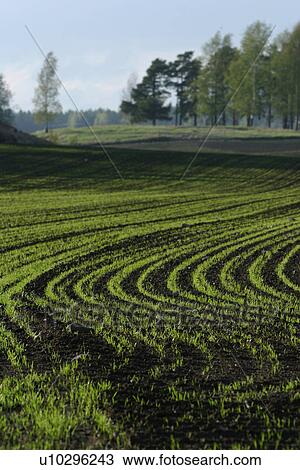Stock Image - outdoors, natural, season, farm, farming, field. Fotosearch