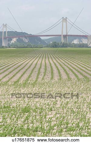 Stock Photography - outdoors, natural, season, farm, farming, field. Fotosearch