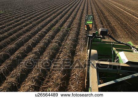 Stock Photo - outdoors, nature, natural, climate, condition, ground. Fotosearch