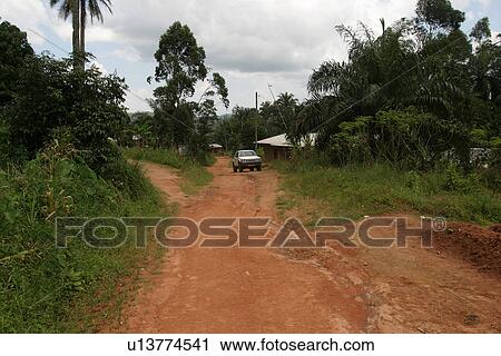 Stock Image - plant, plant life, flora, growth, green, environment. Fotosearch