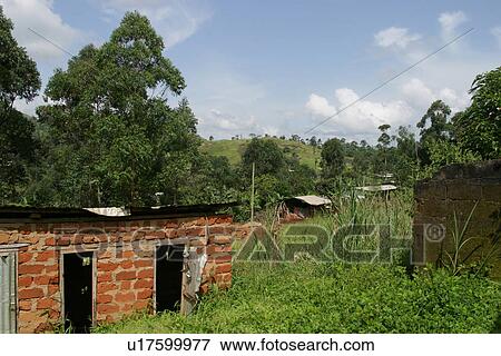 Stock Photo - plant, plant life, flora, growth, green, environment. Fotosearch