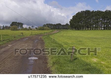 Stock Photography - street, outdoors, way, path, road, forest. Fotosearch