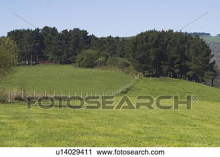 Stock Image - blue, climate, atmosphere. Fotosearch