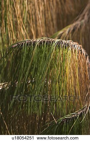 Stock Image - calm, climate, condition. Fotosearch