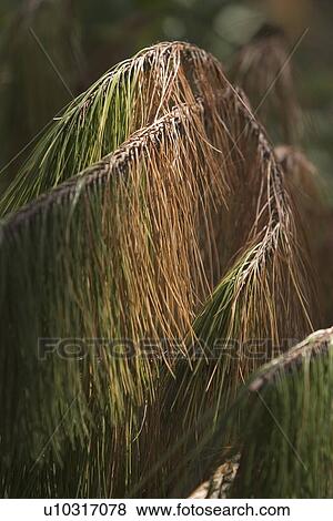 Stock Photo - calm, climate, condition. Fotosearch
