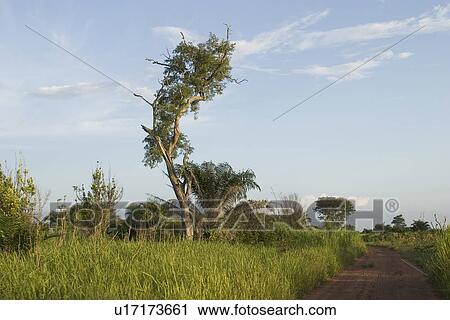 Stock Image - climate, clouds. Fotosearch
