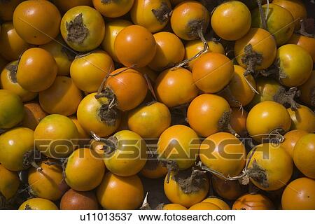 Stock Photo - elements, flavor. Fotosearch
