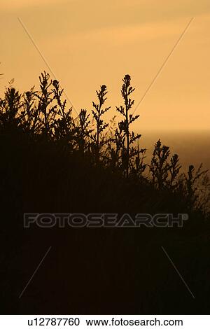 Stock Image - outdoor, environment, climate, ground, land. Fotosearch