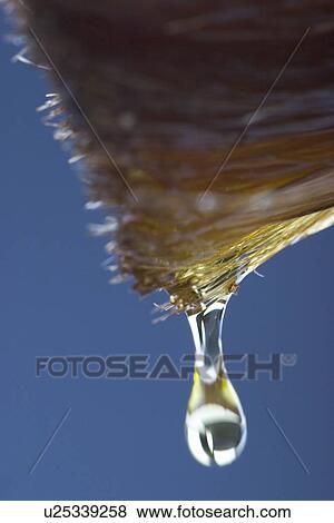 Background, Blue, Brush, Close-Up, Dripping View Large Photo Image Stock Photo - Background, Blue, Brush, Close-Up, Dripping. Fotosearch