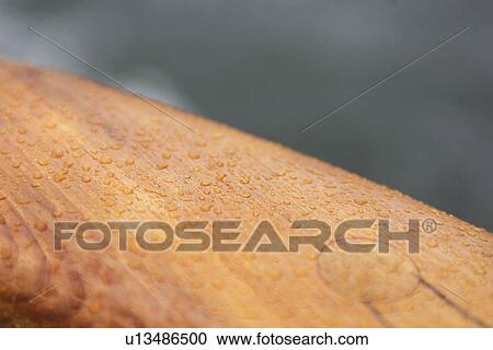 Close-Up, Design, Dew, Droplets, Drops View Large Photo Image Stock Image - Close-Up, Design, Dew, Droplets, Drops. Fotosearch