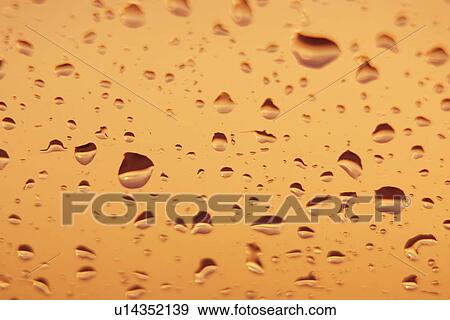 Stock Photo - Close-Up, Drip, Dew, Design, Appearance. Fotosearch