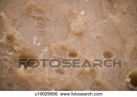 close up View Large Photo Image Stock Photograph - close up. Fotosearch